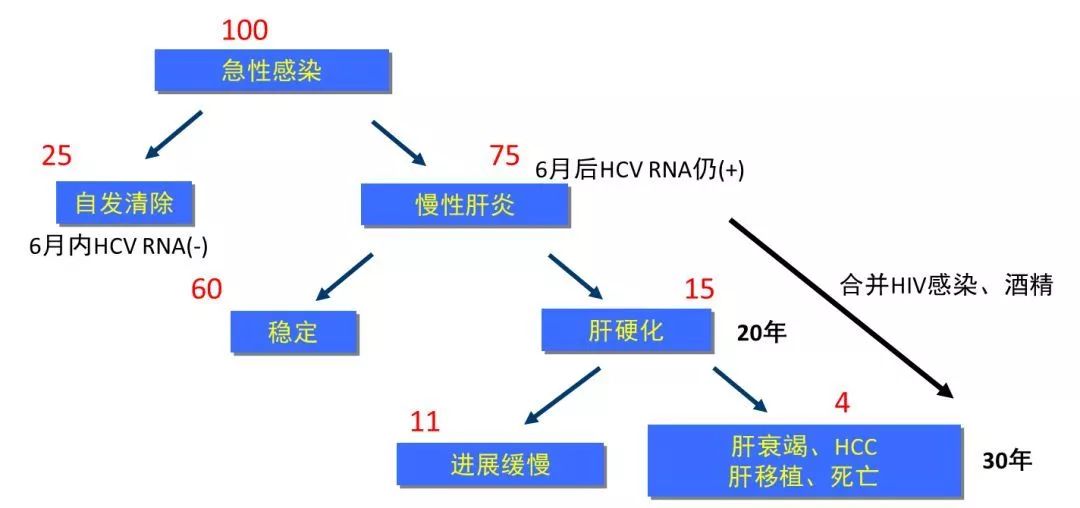 丙肝檢測(cè)的弱陽(yáng)性究竟是不是感染了丙肝？